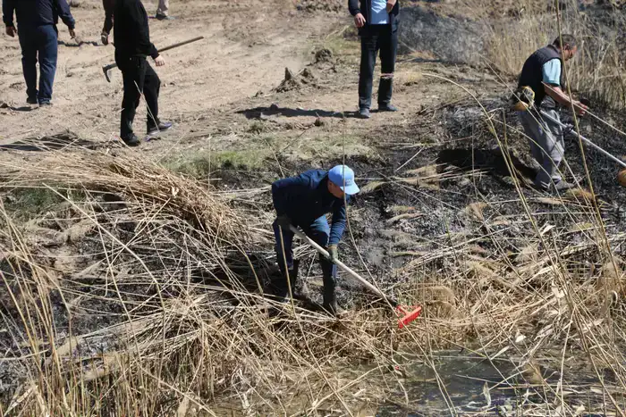 ТУРКЕСТАН: В САРЫАГАШЕ В РАМКАХ ЭКОЛОГИЧЕСКОЙ АКЦИИ «МӨЛДІР БҰЛАҚ» ОЧИЩЕНО 15 КИЛОМЕТРОВ КАНАЛОВ И АРЫКОВ (2)