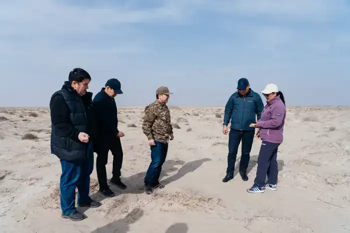 Исследования и озеленение: в Атырау разрабатывают меры по борьбе с пыльными бурями (6)