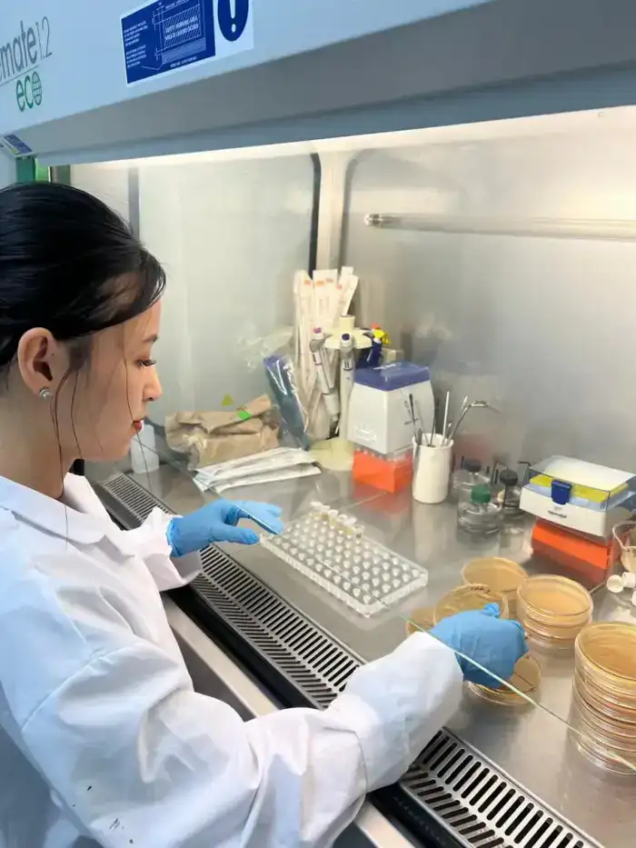 Биологически активная добавка для иммунитета и профилактики диабета на растительной основе