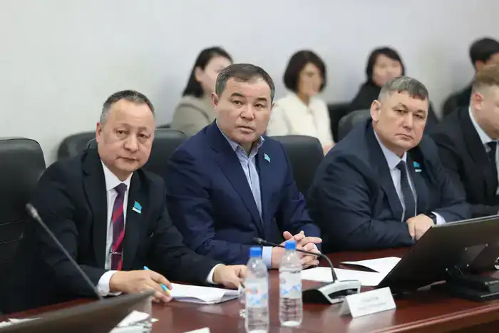 Внеочередная сессия маслихата (7)