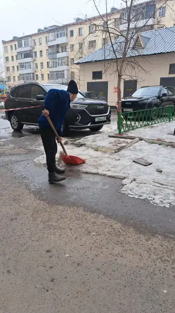 Масштабная генеральная уборка проходит в Астане в День очищения (3)