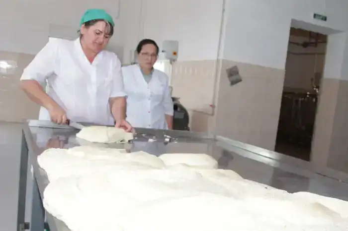 Более 2,5 тыс. человек работают в сфере переработки сельхозпродукции в Жамбылской области (8)