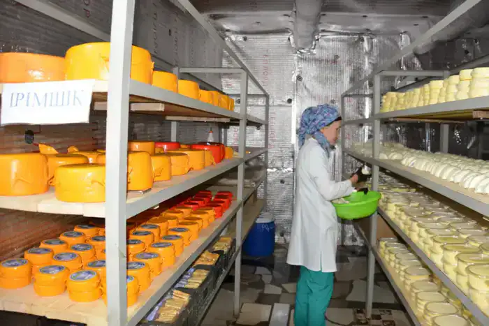 Более половины сельхозпродукции Жамбылской области обеспечивает животноводство (3)