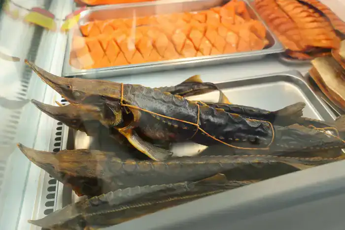 Рабочая поездка акима области в Костанайский район (9)