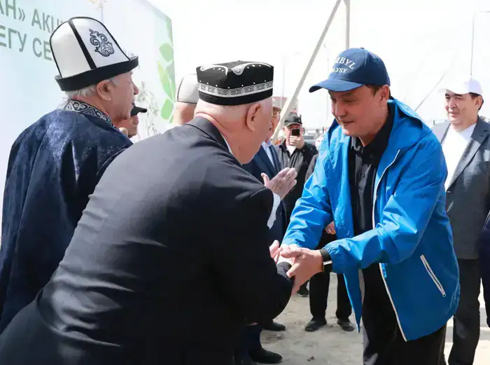Высадка более 9 тысяч деревьев в Жамбылской области: шаг к улучшению экологической ситуации