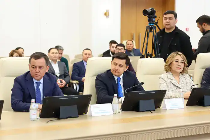 Разъяснили проект новой Конституции (2)