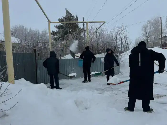 Денисовский район поддержал акцию «Снежный десант»