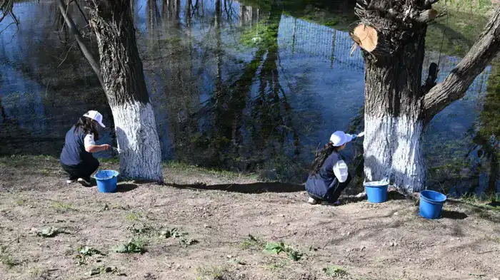 Президентская инициатива «Таза Қазақстан»: Олжас Бектенов принял участие в акции «Мөлдір бұлақ» в Туркестанской области (5)