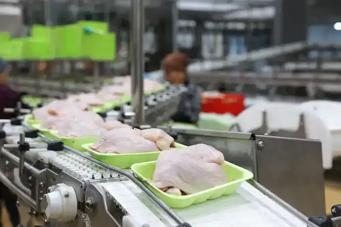 Более половины сельхозпродукции Жамбылской области обеспечивает животноводство (8)