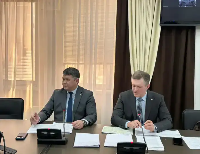 В Казахстане обновят 17 тыс. км электролиний и 444 высоковольтных подстанций (3)