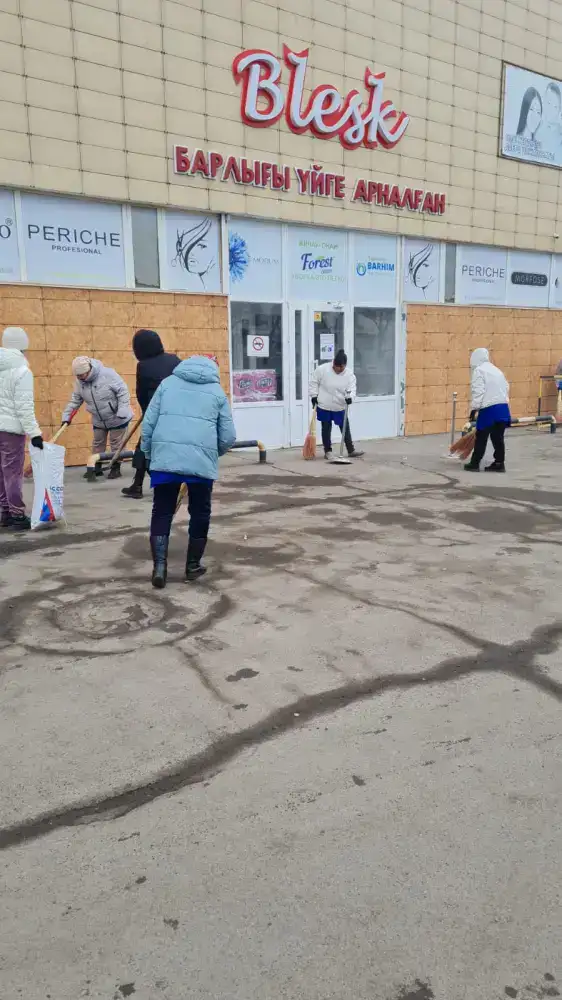 Масштабная генеральная уборка проходит в Астане в День очищения (8)