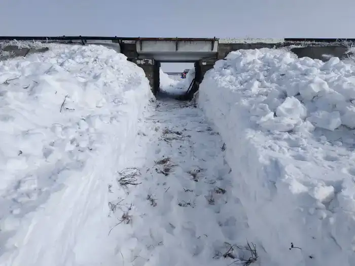 В Министерстве транспорта обсудили подготовку железнодорожной инфраструктуры к паводковому периоду (8)