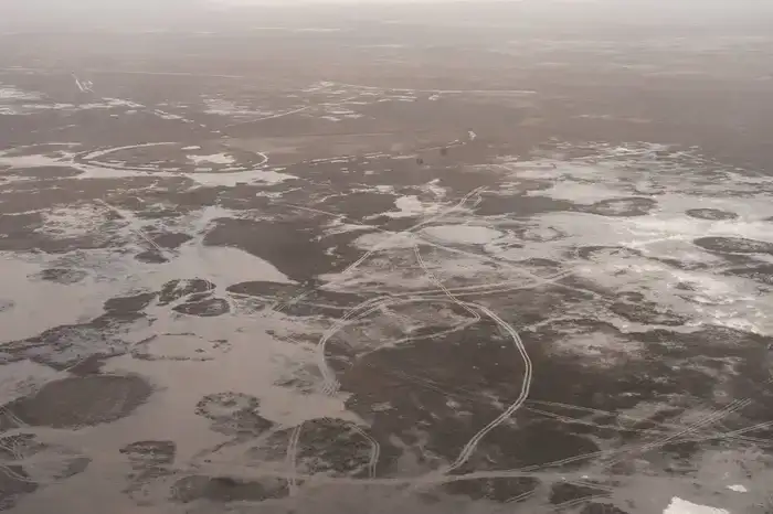 Исследования и озеленение: в Атырау разрабатывают меры по борьбе с пыльными бурями (10)