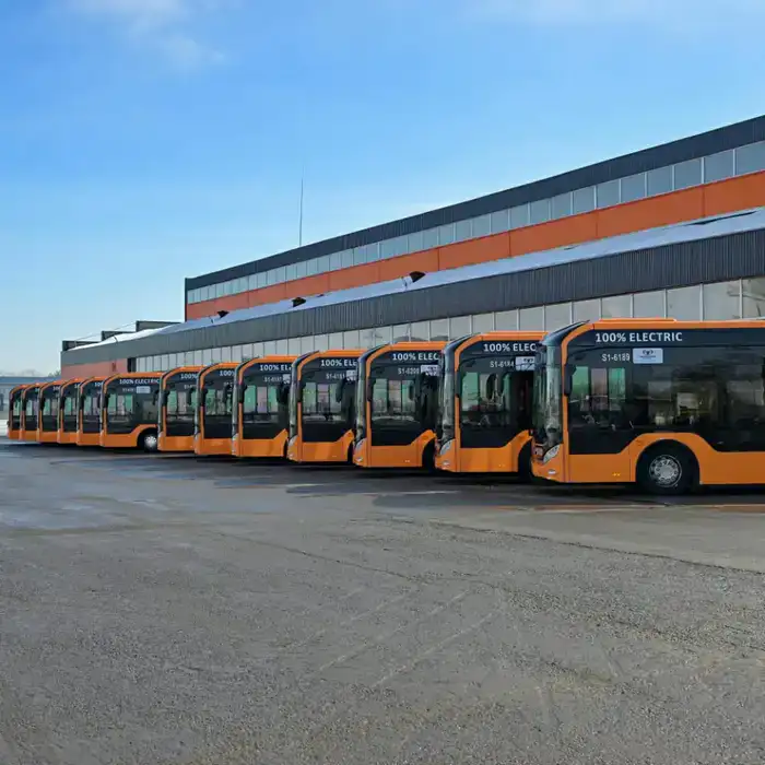 Наурыз: электробусы и лесные тайны Павлодара!