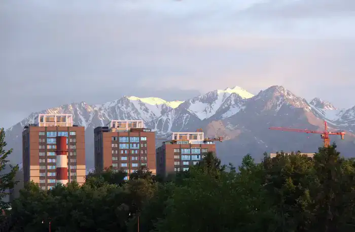 Весенняя дератизация стартует в Алматы