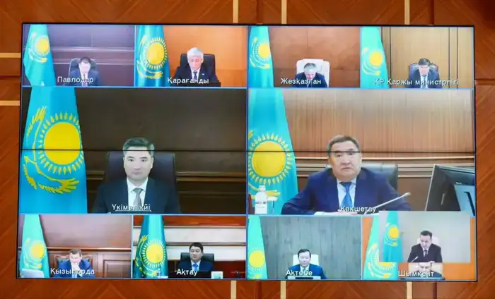 36 млн саженцев высадят в Восточном Казахстане