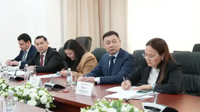 Онлайн встреча Министра экологии с Председателем Национального комитета по экологии и изменению климата Узбекистана (3)