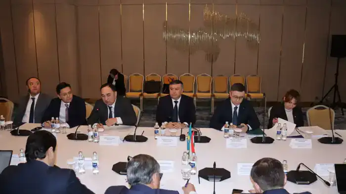 Сотрудничество Казахстана и Таджикистана в налоговом администрировании и цифровизации