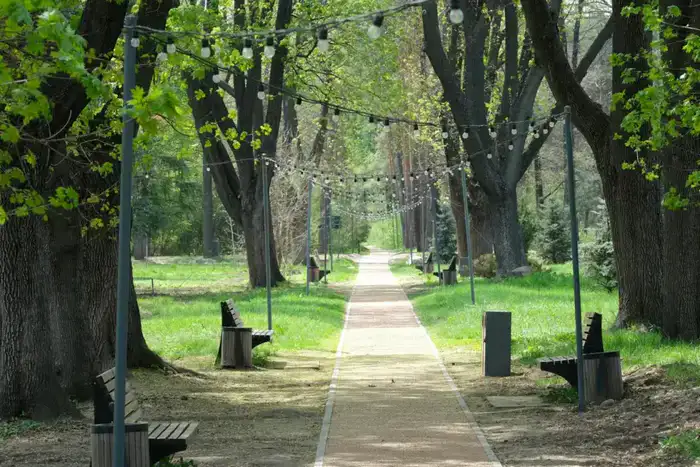 В Алматы разработают дендрологический план до 2030 года (4)