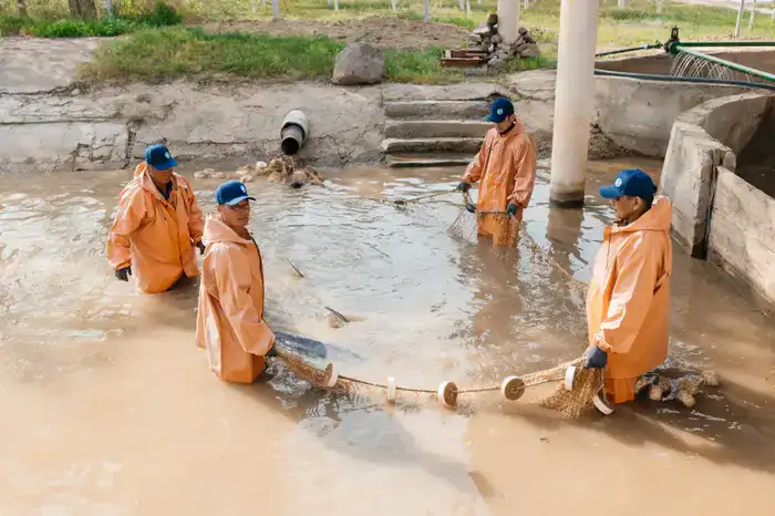 В Махамбетском районе будет введён в эксплуатацию завод по выращиванию рыбы с годовой мощностью 130 тонн (4)