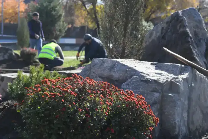 В Алматы обсуждают планы по озеленению и санитарному сносу аварийных деревьев до 2030 года