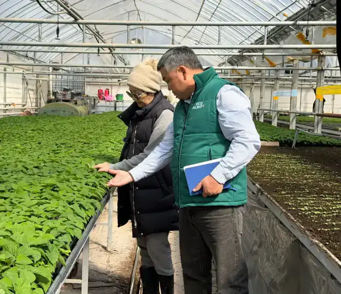 В Алматы цветы украсят более 380 тыс. кв. метров городских территорий (7)