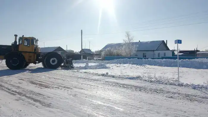 В Алтынсаринском районе прошла акция «Снежный десант» (3)