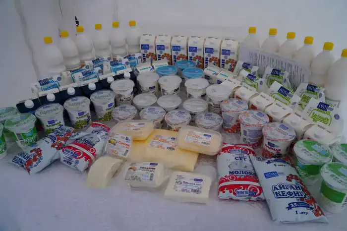 Строительство молочно-товарной фермы и завода по переработке молока в Бурабайском районе: новые инвестиции и рабочие места для региона