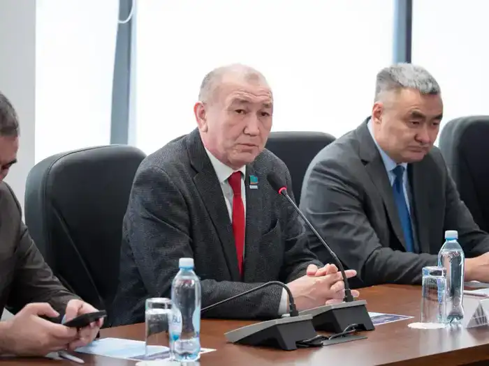 Эксперты обсудили новые перспективы после принятия новой Конституции Казахстана (3)