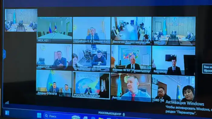 Казахстан и Россия планируют совместные меры по борьбе с саранчовыми вредителями на 2026 год