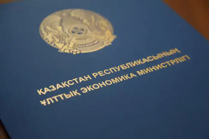 Число социальных предпринимателей в Казахстане почти удвоилось за год, достигнув 1431 предприятия