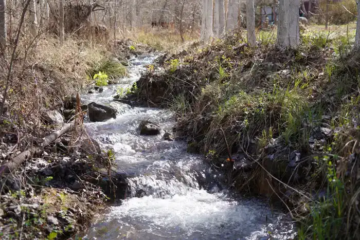 ТУРКЕСТАН: ОКОЛО 500 ЖИТЕЛЕЙ КАЗЫГУРТСКОГО РАЙОНА ПРИНЯЛО УЧАСТИЕ В РЕСПУБЛИКАНСКОЙ АКЦИИ «МӨЛДІР БҰЛАҚ» (4)