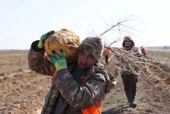 В Илийском районе ведутся масштабные работы по озеленению (4)