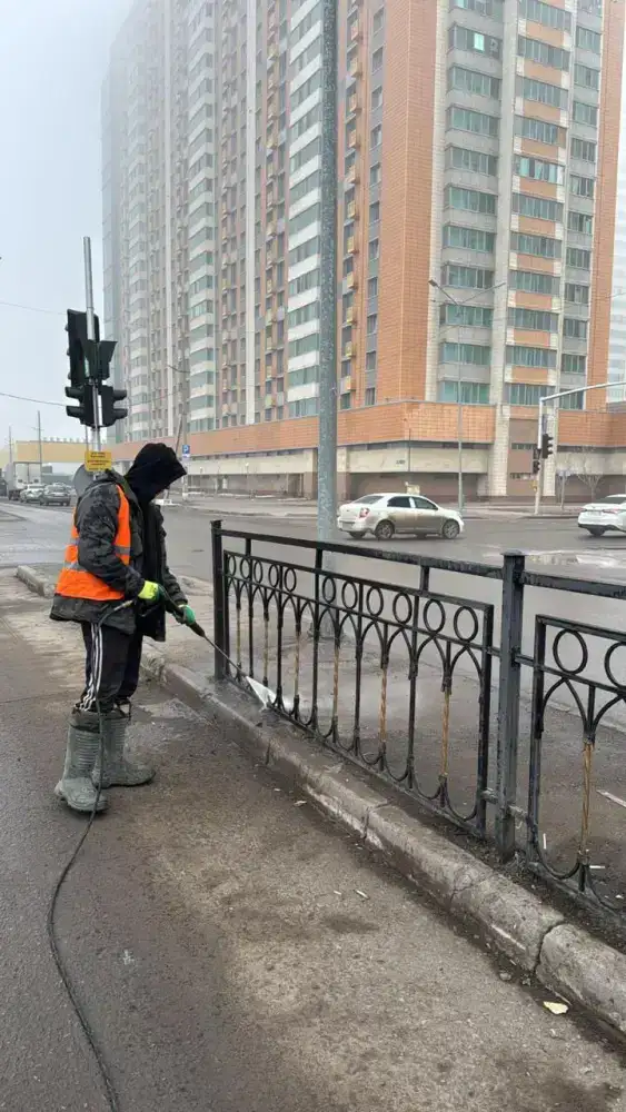 Масштабная генеральная уборка проходит в Астане в День очищения (5)