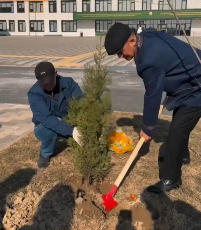 Саженцы во дворах школ Келешек мектептері в Кызылординской области