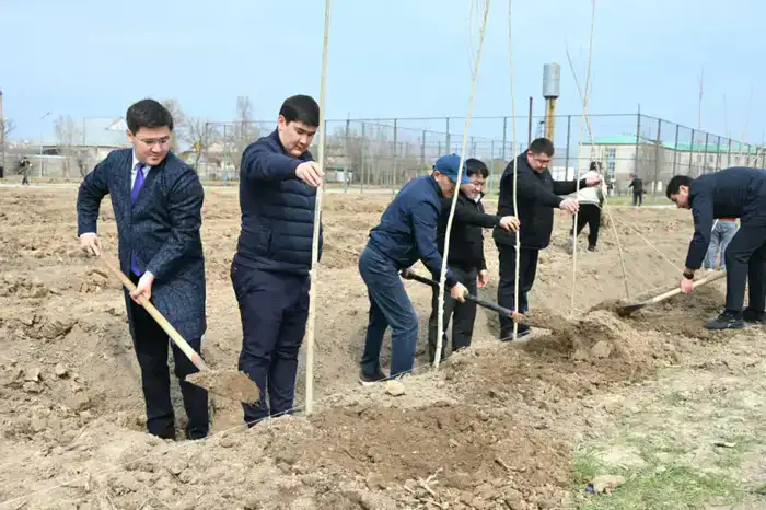 В Жетысайском районе высажено 5 тысяч саженцев в рамках декады "Наурызнама"