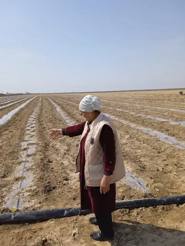 Еңбек адамы. Кайша Садыкова — пример преданности сельскому хозяйству (2)