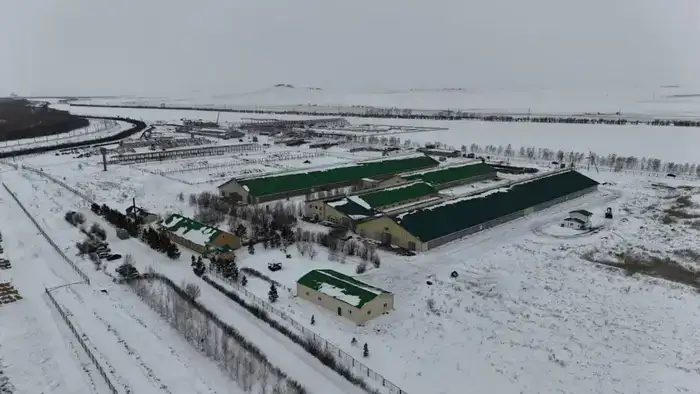 В Бурабайском районе ведется строительство крупной молочно-товарной фермы и завода по переработке молока (4)