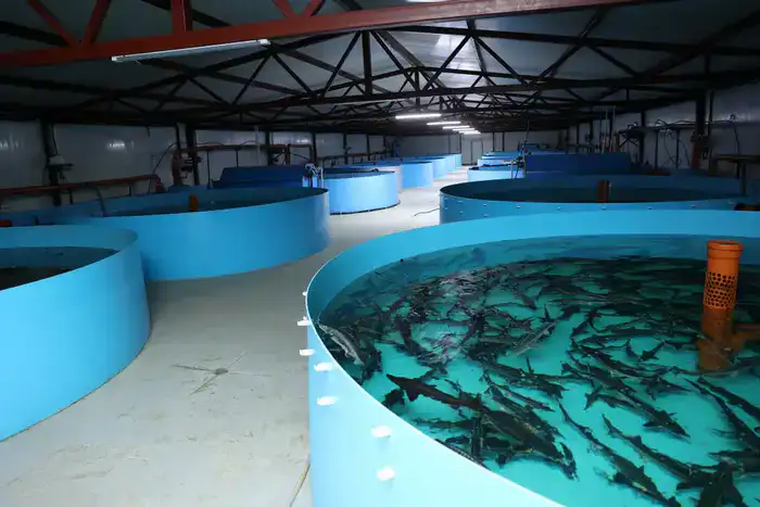 Фермерский бум: Костанайский район на пути к прорыву!