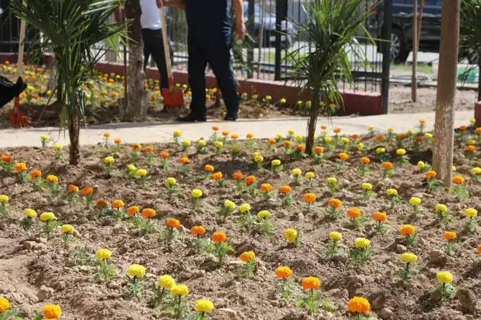 ТУРКЕСТАН: В САРЫАГАШЕ ПРОШЕЛ ОБЩЕРАЙОННЫЙ СУББОТНИК (2)