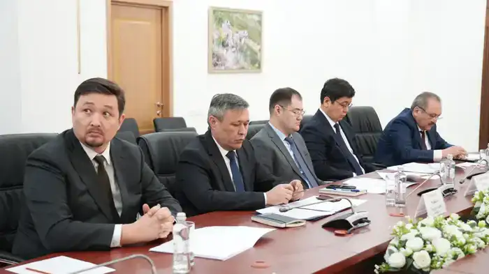 Онлайн встреча Министра экологии с Председателем Национального комитета по экологии и изменению климата Узбекистана (2)