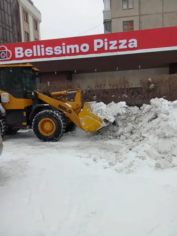 Около трех тысяч дорожных рабочих и более 1,6 тысячи единиц спецтехники задействовано в снегоуборочных работах в Астане (10)