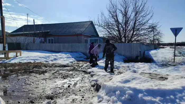 Снежный десант: чистота на грани экологической революции!