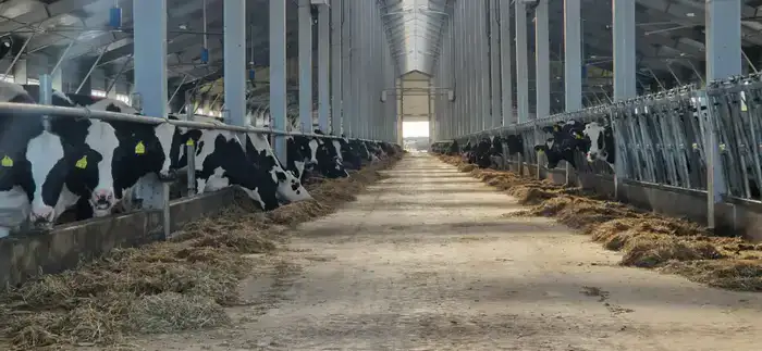 льготное кредитование животноводства 6% Казахстан