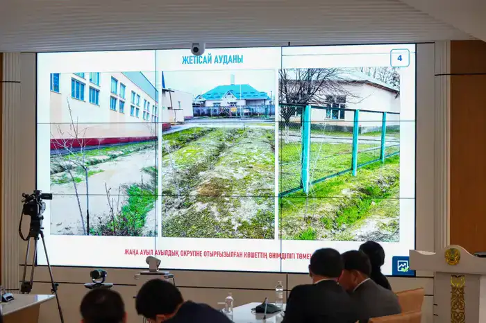 Зеленая симфония: в Туркестанской области в этом году высадят 1 миллион саженцев