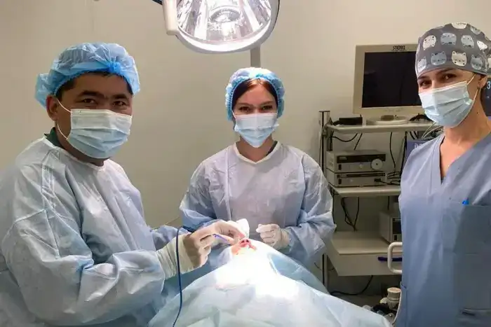 Увеличение высокотехнологичных операций в Туркестане: влияние на здравоохранение региона