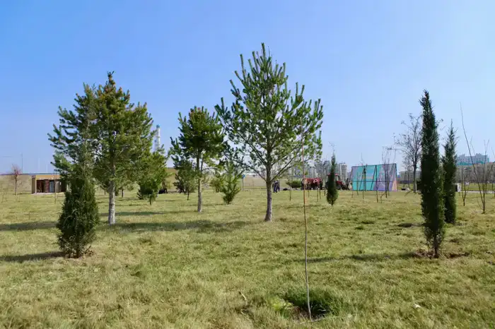 В ТУРКЕСТАНСКОЙ ОБЛАСТИ В ЭТОМ ГОДУ ВЫСАДЯТ 1 МЛН САЖЕНЦЕВ (4)