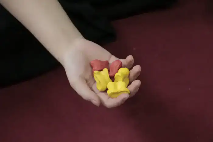 В Кокшетау установлен национальный рекорд по игре бес асық (2)