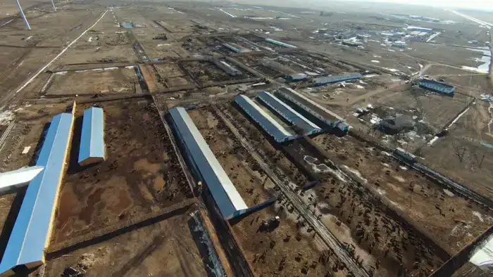 Калмыцкая порода КРС набирает популярность в Акмолинской области (9)