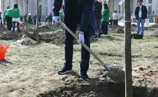 Посадка 550 тысяч деревьев в Алматы в честь Наурыза